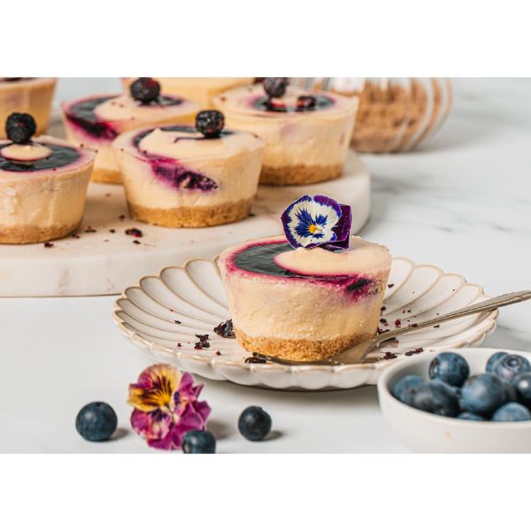 BLUEBERRY – CHEESECAKE – 8PK – 100G