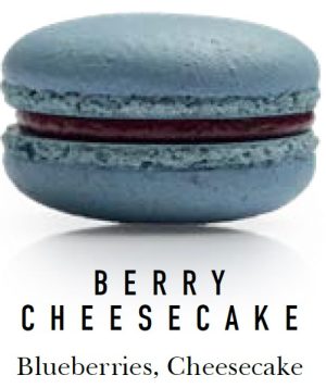 MACARONS – BERRY CHEESECAKE – 18GM/45-55MM – 20PK