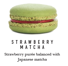 MACARONS – STRAWBERRY MATCHA – 18GM/45-55MM – 20PK